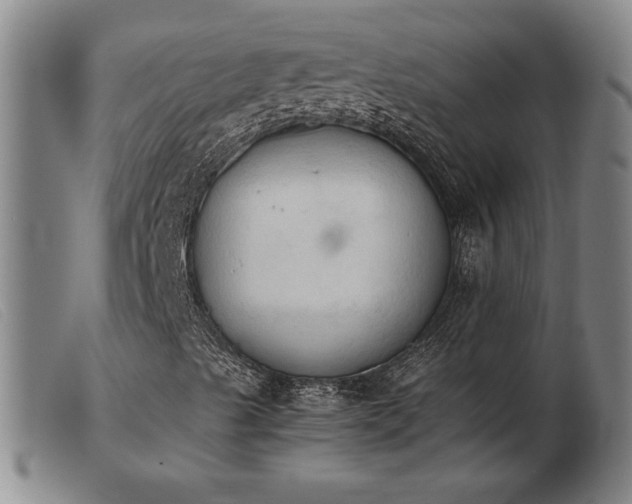 X0000103901489200809191226