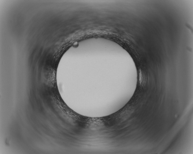 X0000103901492200809191226
