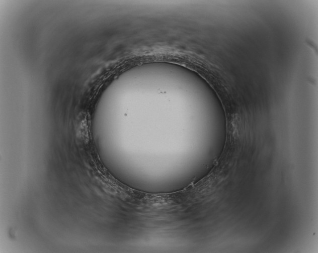 X0000103901493200809191226