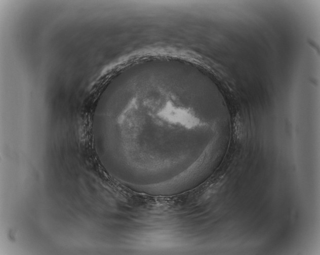 X0000103901494200809191226