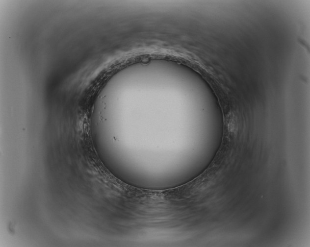 X0000103901495200809191226