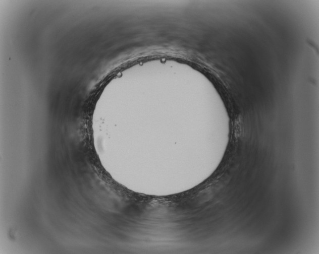 X0000103901496200809191226