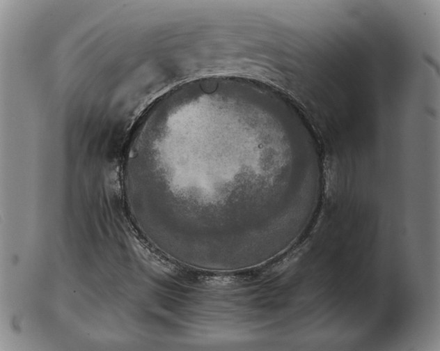 X0000103901497200809191226