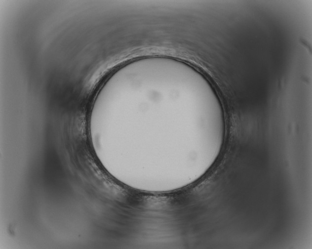 X0000103901499200809191226