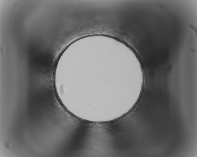 X0000103901500200809191226