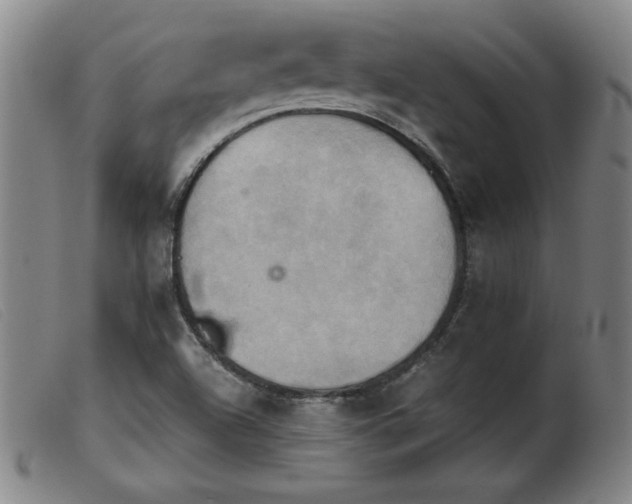 X0000103901504200809191226