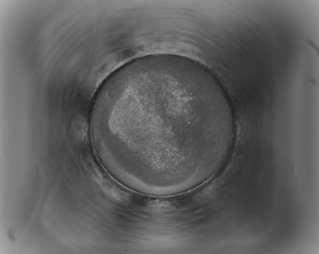X0000103901505200809191226
