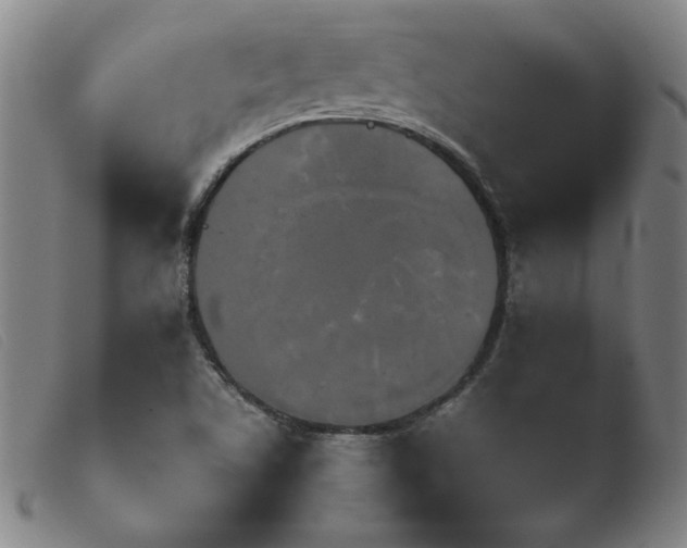 X0000103901506200809191226