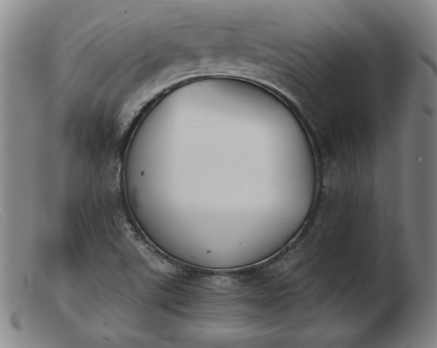 X0000103901507200809191226