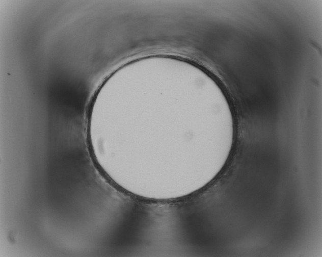 X0000103901508200809191226