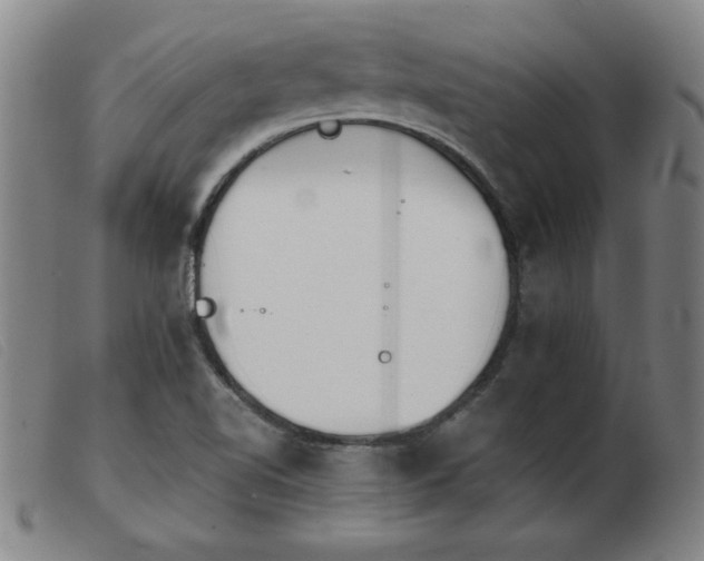 X0000103901510200809191226