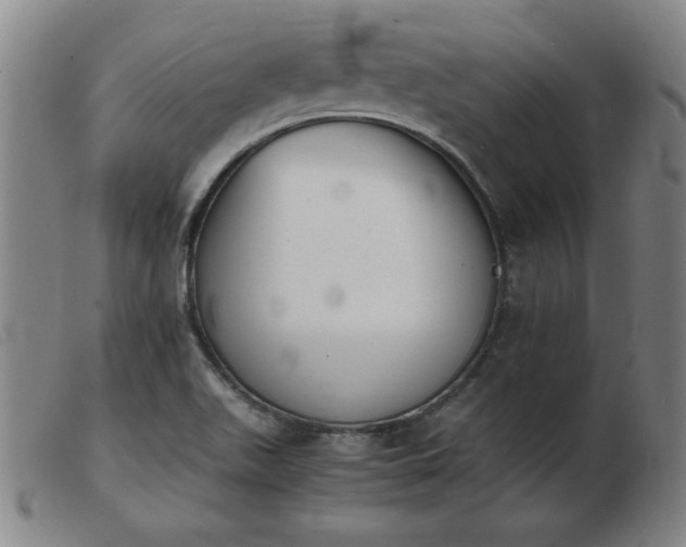 X0000103901511200809191226