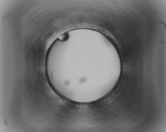 X0000103901512200809191226