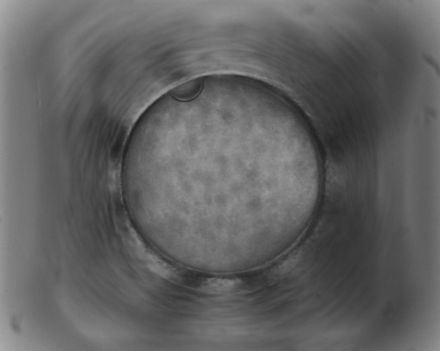 X0000103901513200809191226