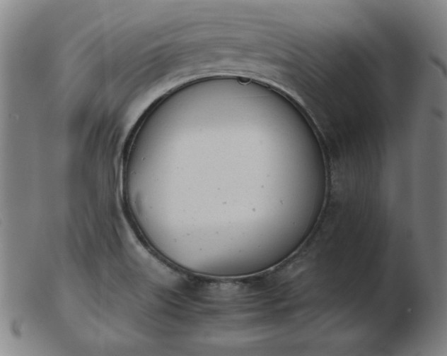 X0000103901515200809191226