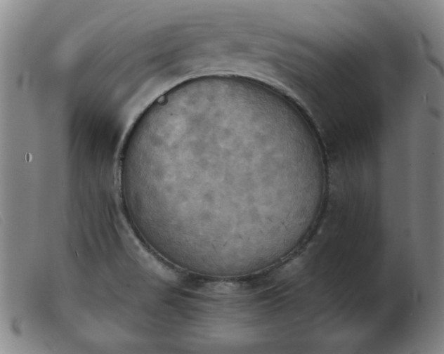 X0000103901517200809191226