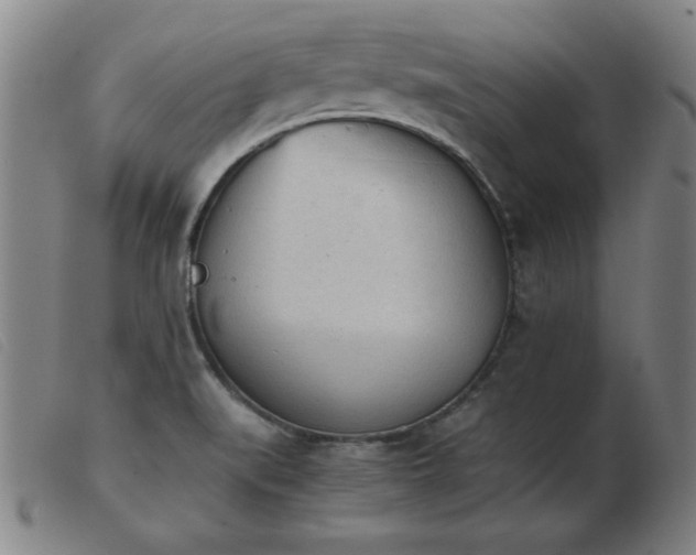 X0000103901519200809191226