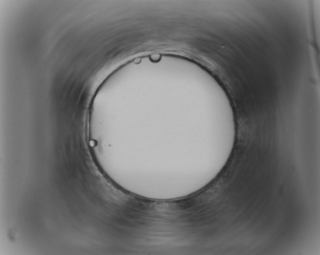 X0000103901520200809191226