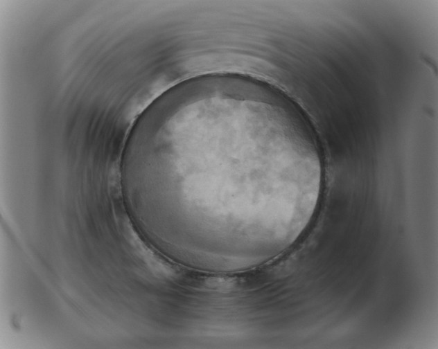 X0000103901521200809191226