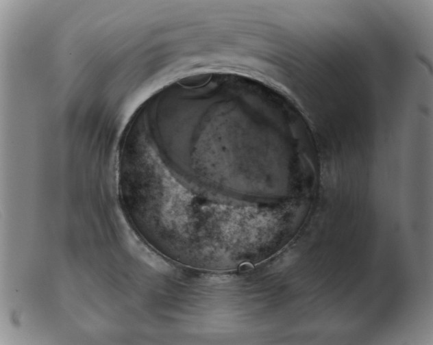 X0000103901522200809191226