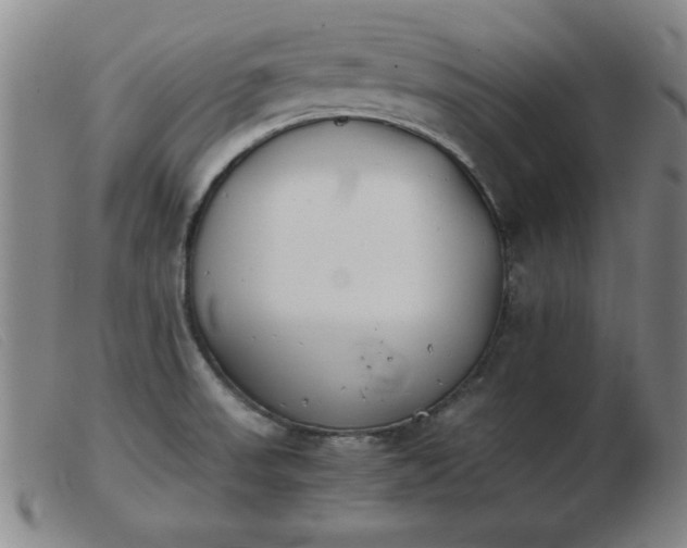 X0000103901523200809191226