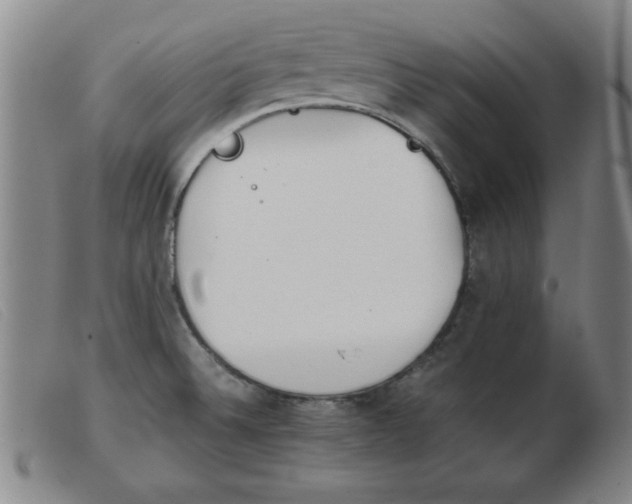 X0000103901524200809191226