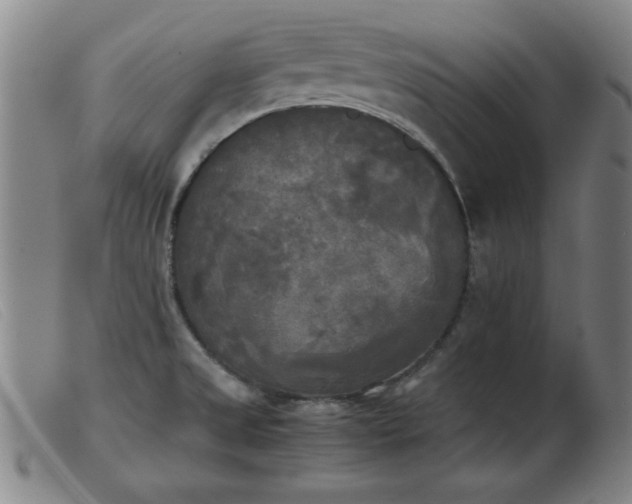 X0000103901525200809191226