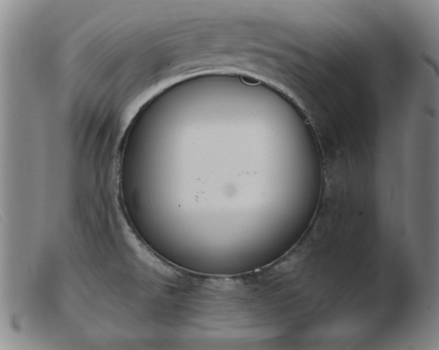 X0000103901526200809191226