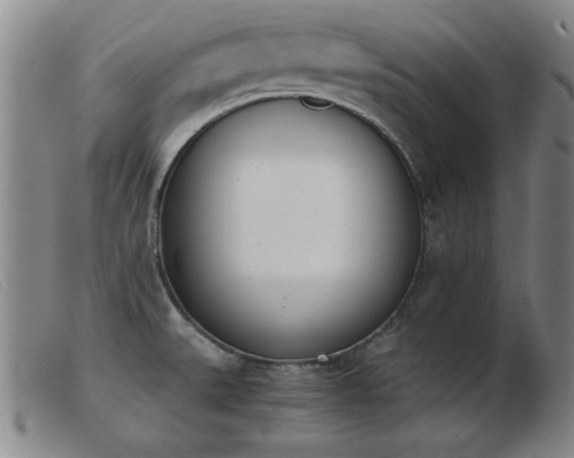 X0000103901527200809191226