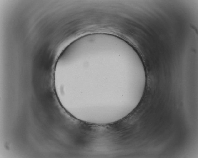 X0000103901528200809191227