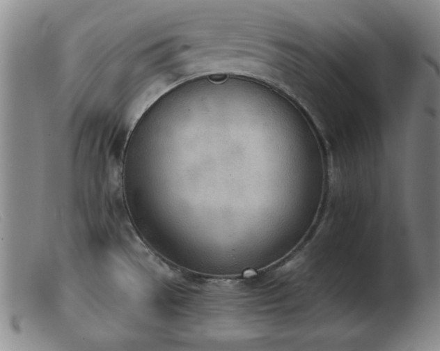 X0000103901529200809191227