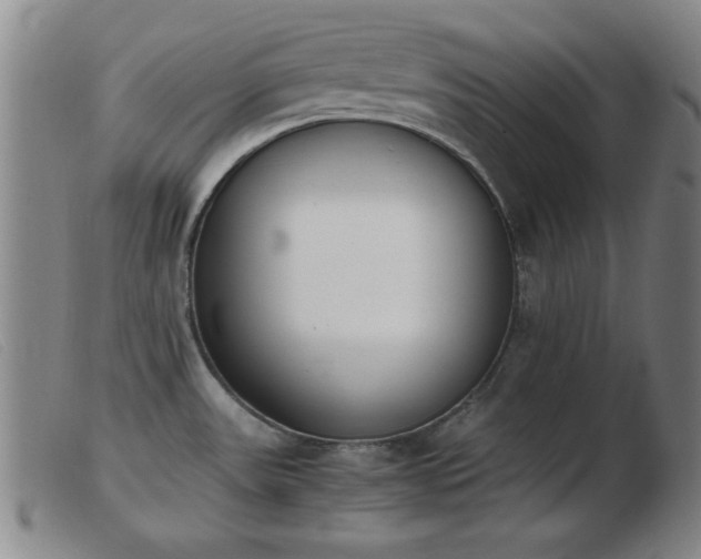 X0000103901531200809191227