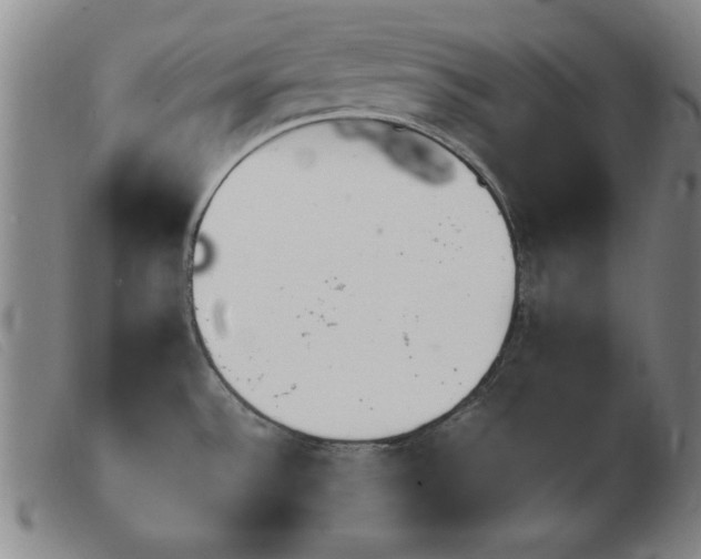 X0000103901532200809191227