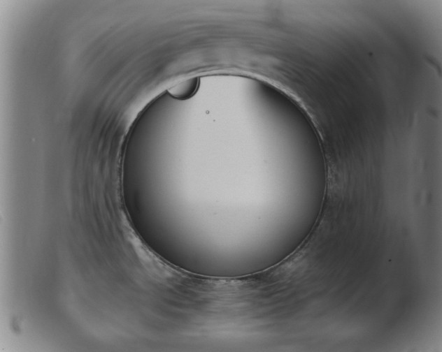 X0000103901534200809191227