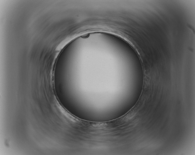 X0000103901535200809191227