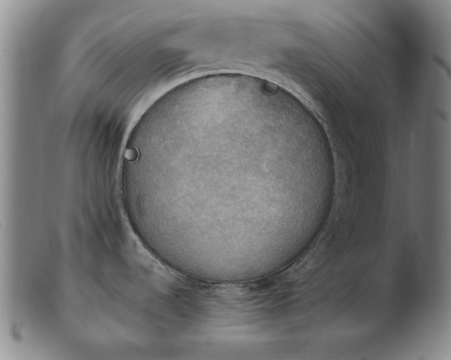 X0000103901536200809191227