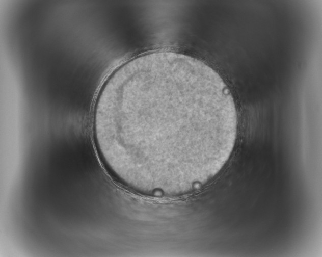 X0000103900003200809261559