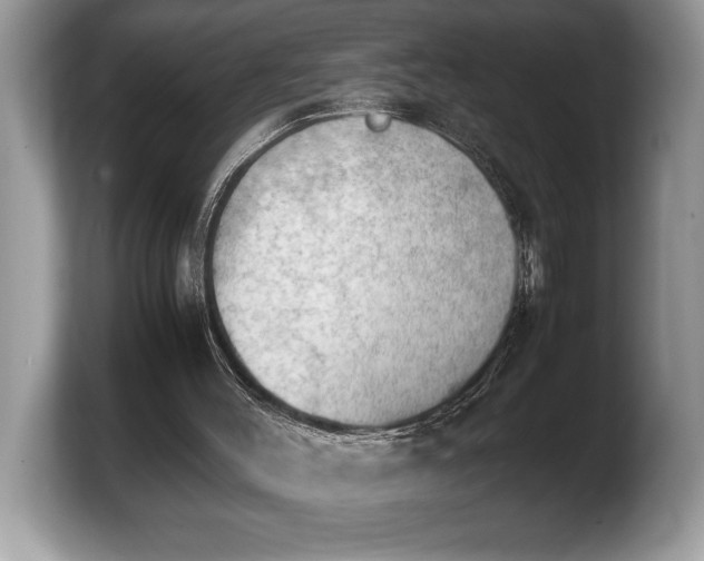 X0000103900004200809261559