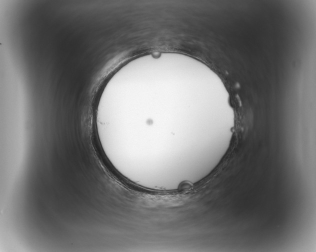 X0000103900005200809261559