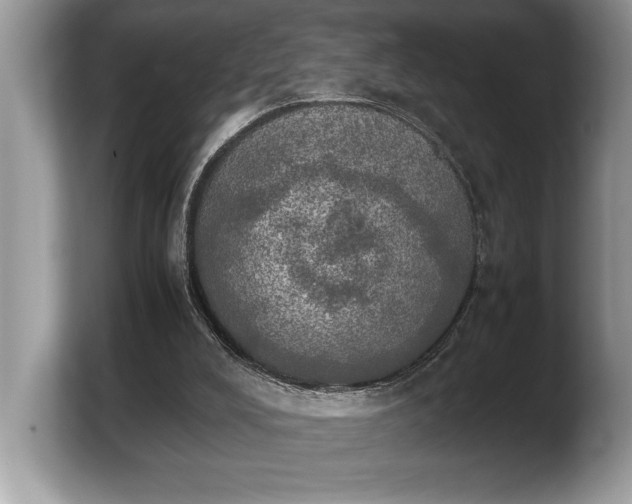 X0000103900008200809261558