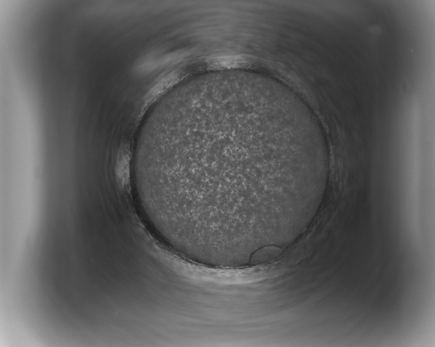 X0000103900010200809261558