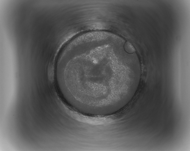 X0000103900012200809261558