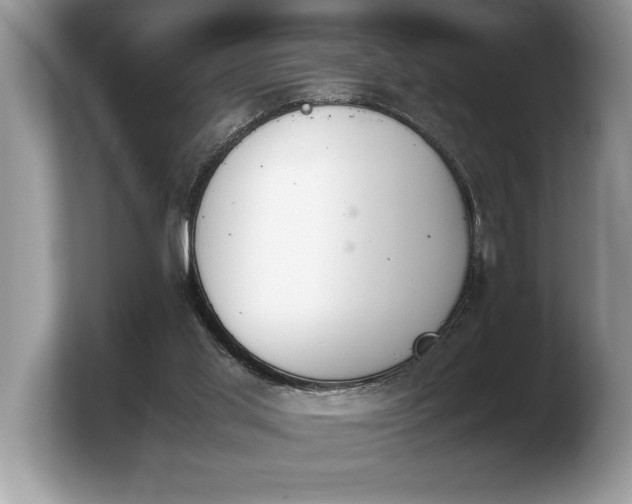 X0000103900013200809261558