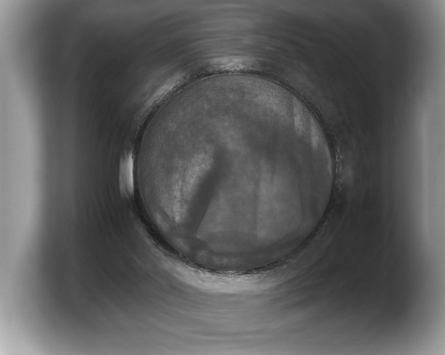 X0000103900014200809261558