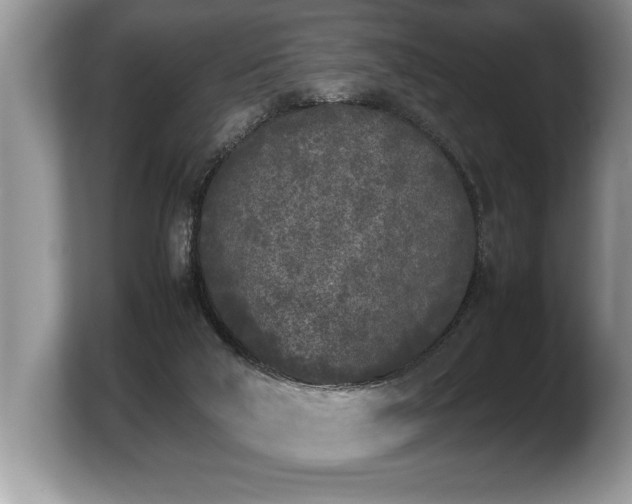 X0000103900018200809261558