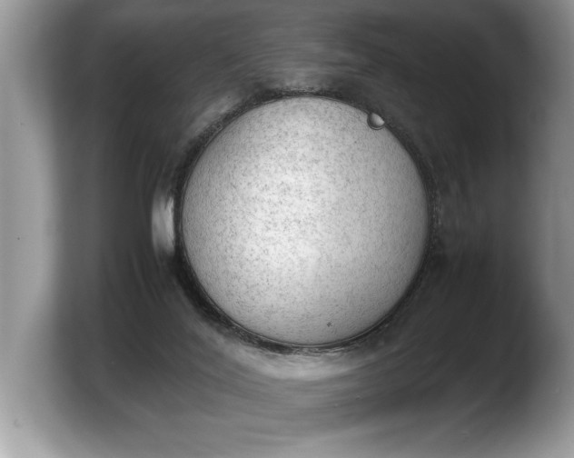 X0000103900020200809261558