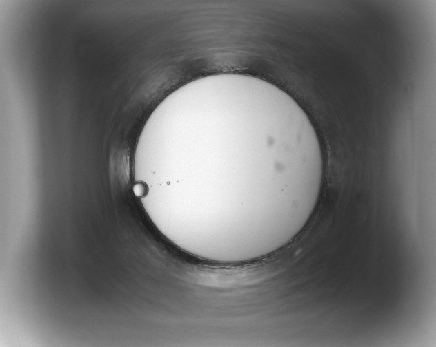 X0000103900021200809261558