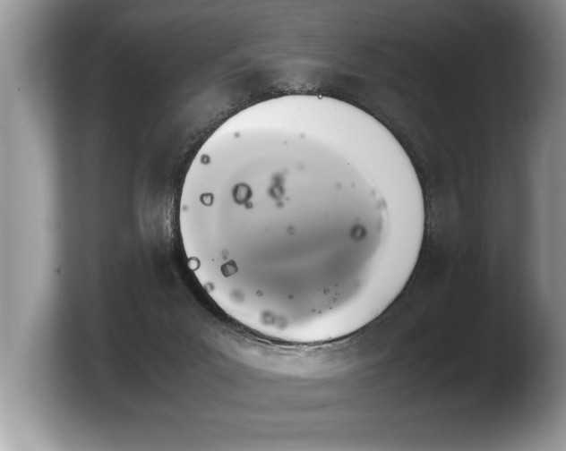 X0000103900023200809261558
