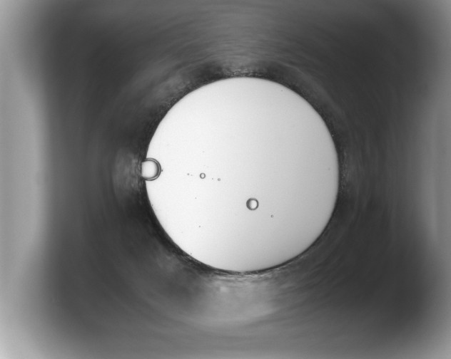 X0000103900025200809261558