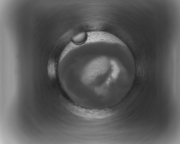 X0000103900026200809261558